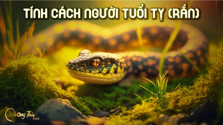 Tính cách người tuổi Tỵ (Rắn)