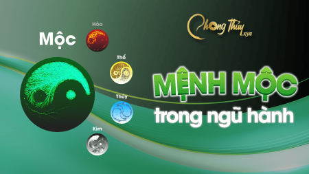 Tìm hiểu Mệnh mộc trong ngũ hành